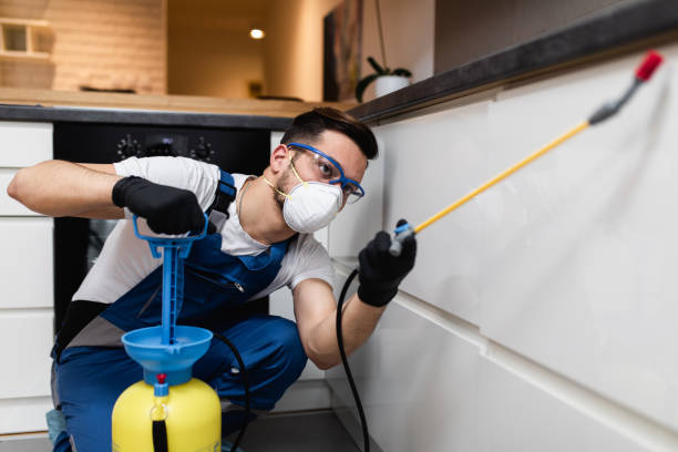 Best Pest Control for Homes  in Pinellas Park, FL