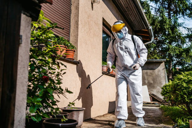 Best Wasp Removal Services  in Pinellas Park, FL