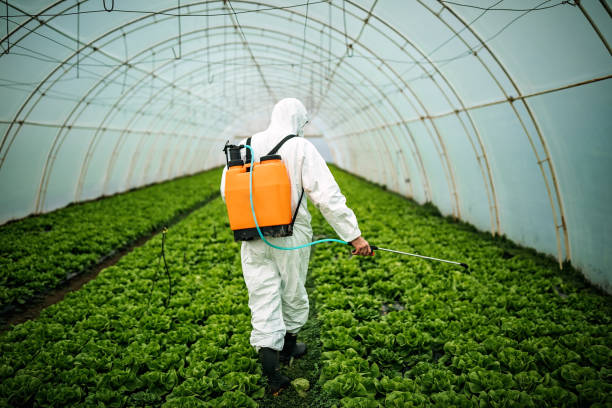 Best Pest Prevention Services  in Pinellas Park, FL
