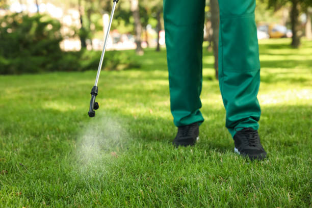 Pest Prevention Services in Pinellas Park, FL