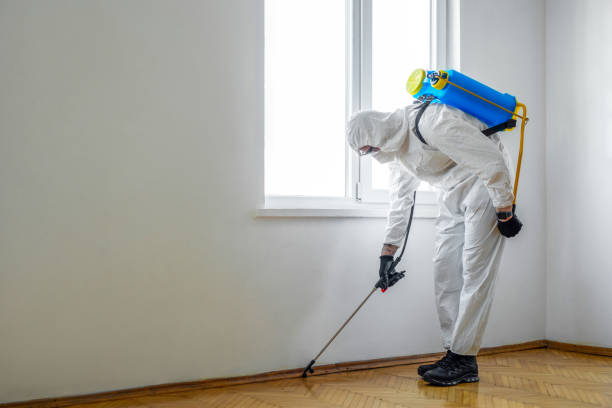 Best Commercial Pest Control Services  in Pinellas Park, FL