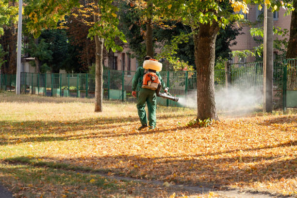 Best Wasp Removal Services  in Pinellas Park, FL
