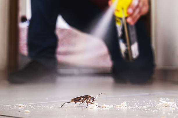 Best Emergency Pest Control  in Pinellas Park, FL